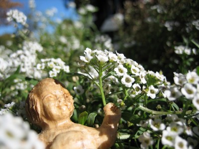 Baby J chillaxin' in the flowers